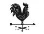 gallo gallo